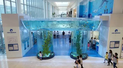 COEX Aquarium