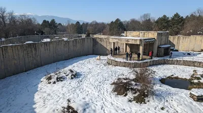 Sofia Zoo