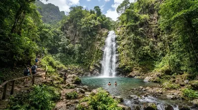 Concord Falls