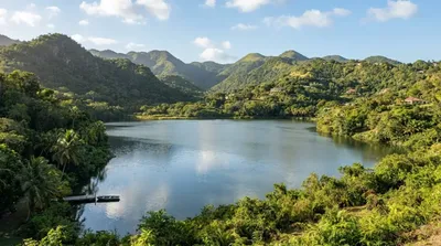 Palmiste Lake
