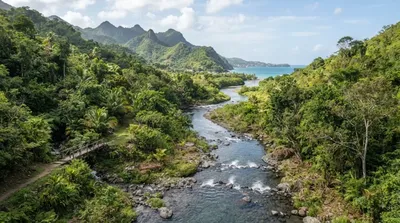 River of Little Marquis