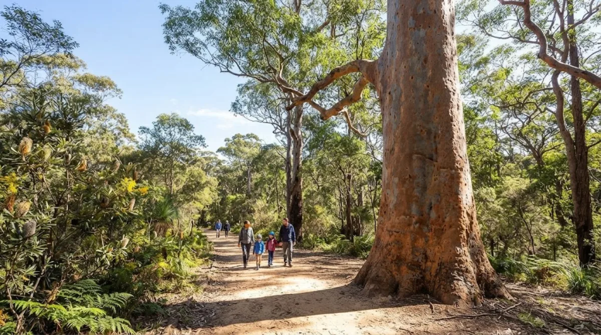 Lane Cove National Park