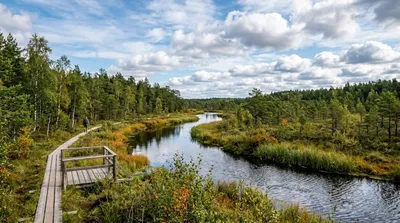 Pääsküla River