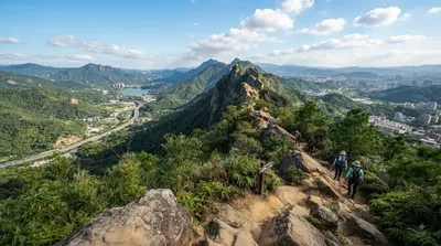 Jinmian Shan