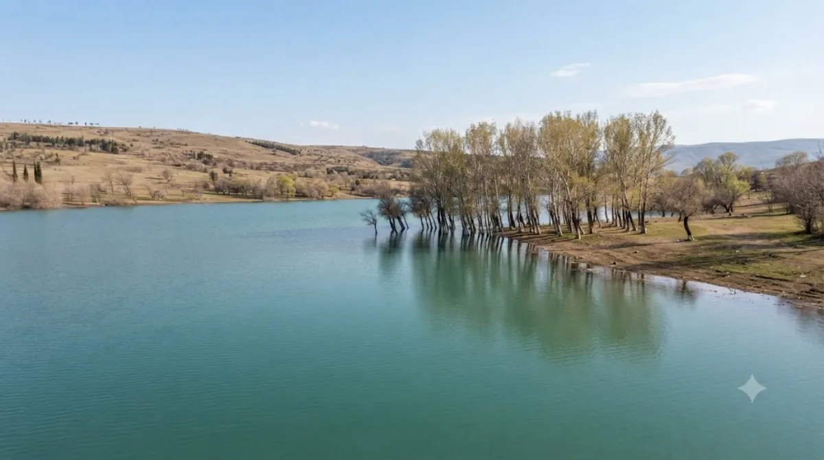 Tbilisi sea