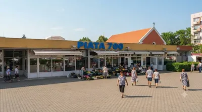 Timișoara 700 market