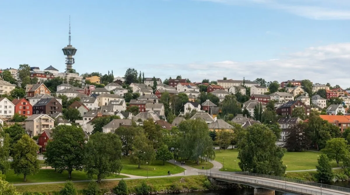 Elgeseter
