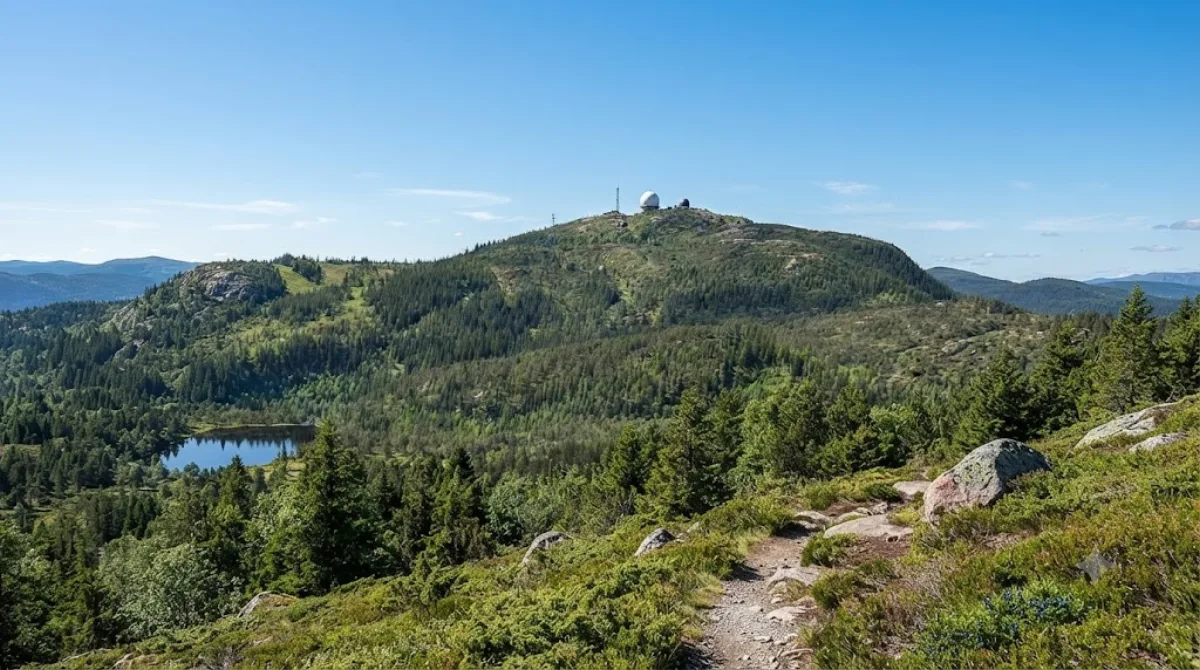 Gråkallen