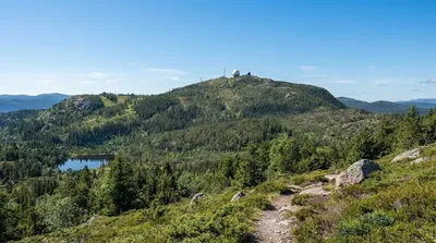 Gråkallen