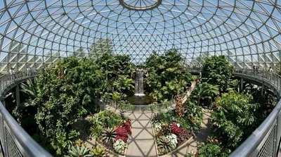 Bloedel Conservatory