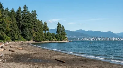 Third Beach