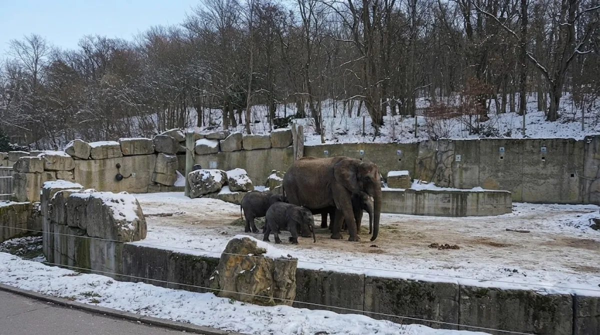 Schönbrunn Zoo