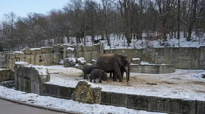 Schönbrunn Zoo