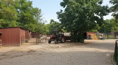 Warsaw Zoo