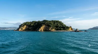 Île Mākaro