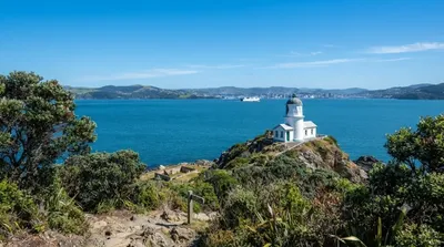 Phare de l'île Matiu / Somes