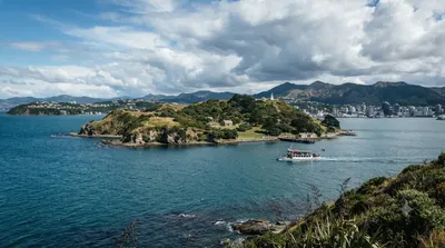 Île Matiu / Somes