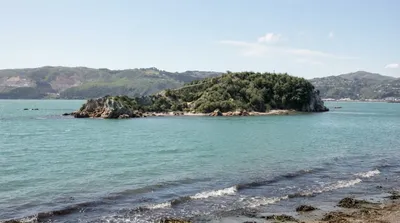 Île Mokopuna