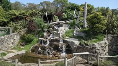 Zoo de Wellington