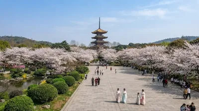 East Lake Cherry Blossom Park