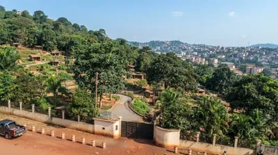 Mvog-Betsi Zoo